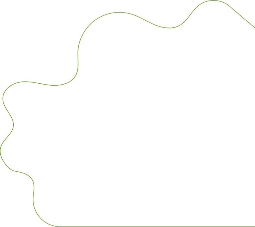 decorative border shape